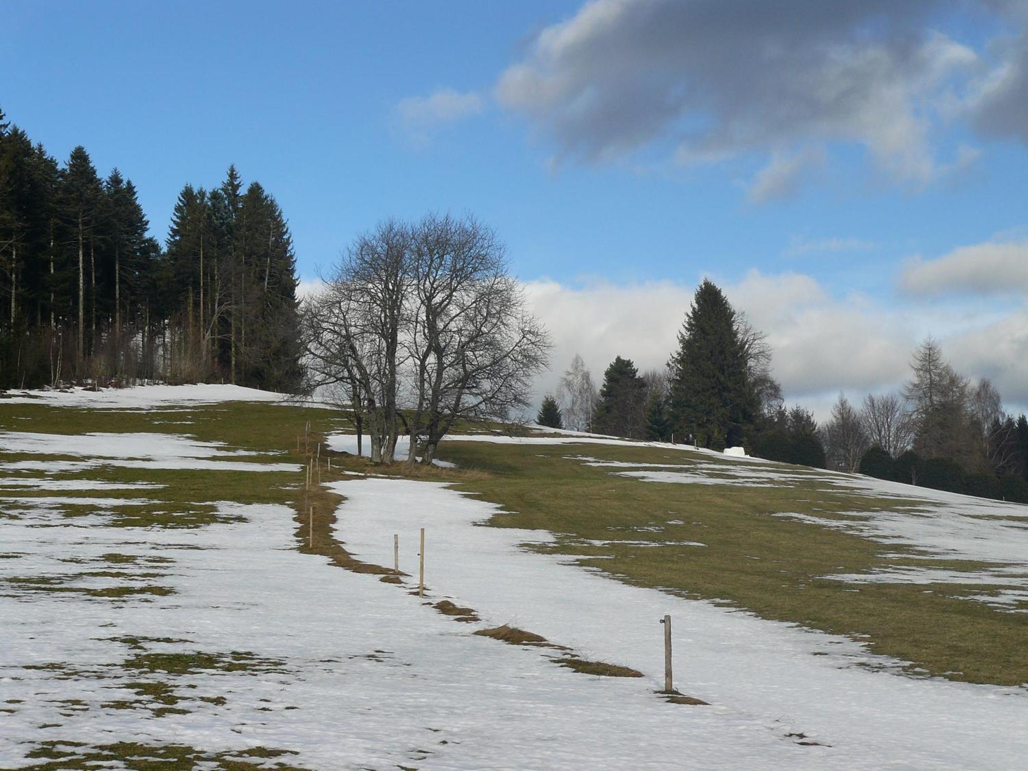4-Sterne Ferienhaus Roesslewiese Hinterzarten Exterior foto